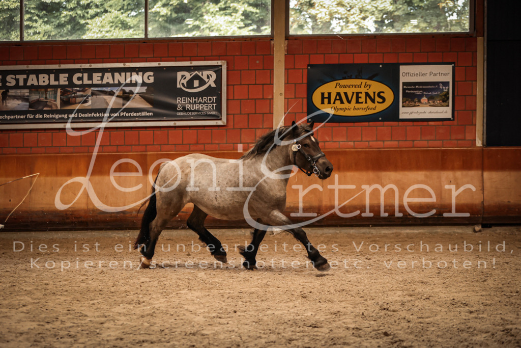 SaFL00347 | Leoni Ertmer Photography - Realisiert mit Pictrs.com