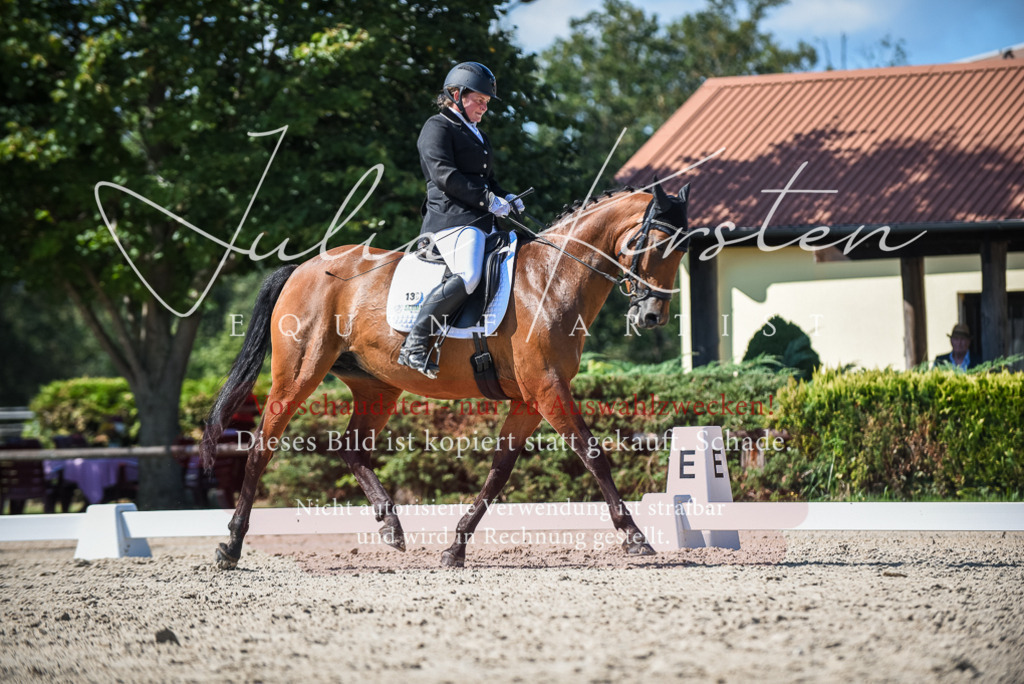 DSC_9635 | Pferde- und Turnierfotografie in Westsachsen. Pferdeportraits, Auftragszeichnungen und intuitive Kunst.