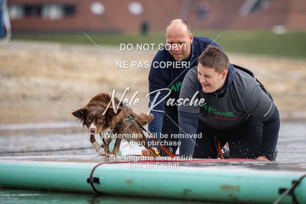 nelerasche_Hulsbeek_Sa1130-1230_611 | nelerasche