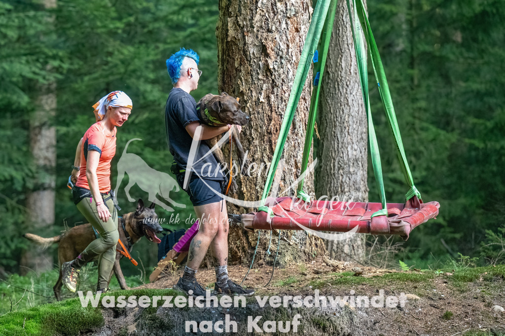 0900_ZZ90074-Bearbeitet | kk-dogfotos