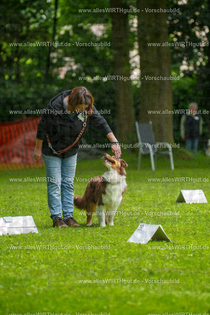 @allesWIRTHgut_Tierfotografie - www.allesWIRTHgut.de - 7R502612 | Professionelle Tierfotografie in Mönchengladbach von Daniel Wirth (allesWIRTHgut). Liebevolle & natürliche Bilder von Hunden & Katzen für unvergessliche Erinnerungen.