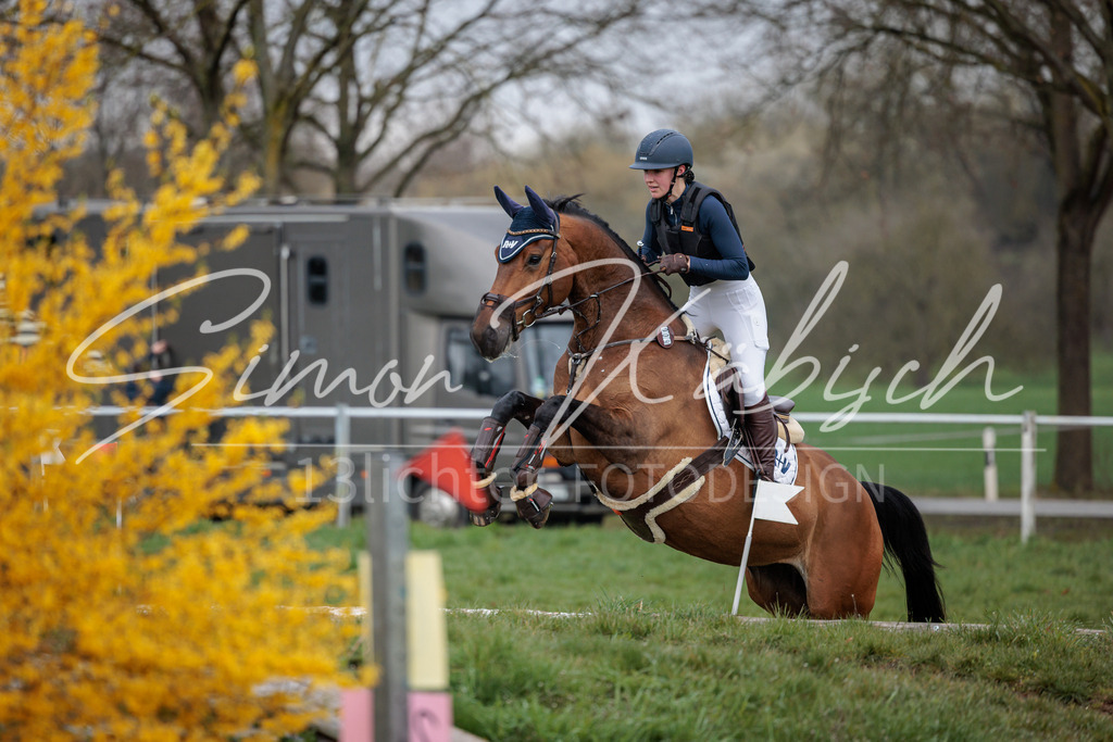 20260329-_3LI3912 | Tierfotografie Pferde, Hunde, Katzen, Haustiere.
Turnierfotografie Reitturniere, Reiten, Springreiten, Dressur in Hanau, dem Main-Kinzig-Kreis und dem Rhein-Main- Gebiet um Frankfurt