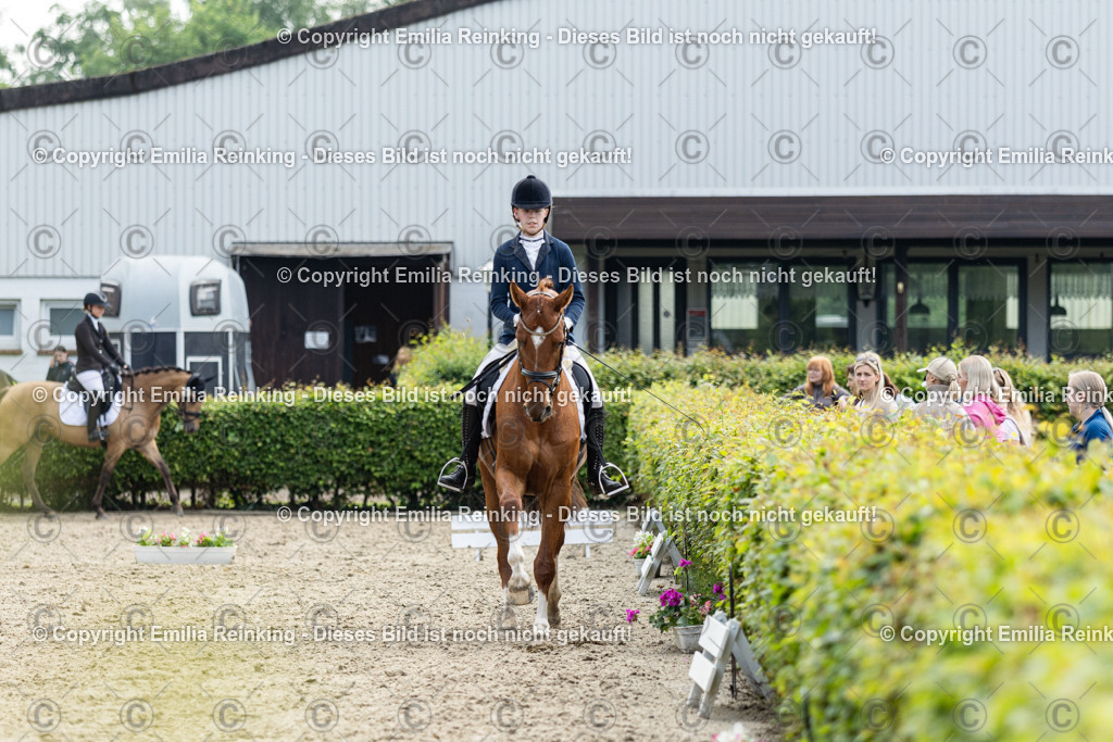 CL5A5052 | Emilia Reinking Fotografie - Realisiert mit Pictrs.com