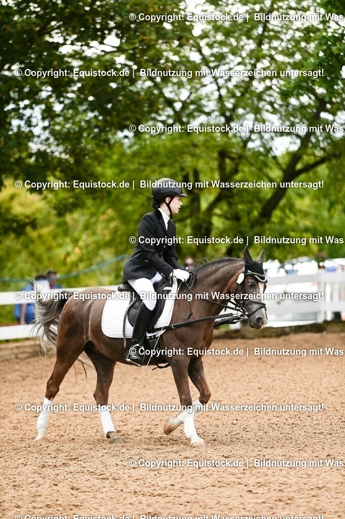 20230716_10-2_Reiter-WB Schritt - Trab - Galopp_0081 | equistock