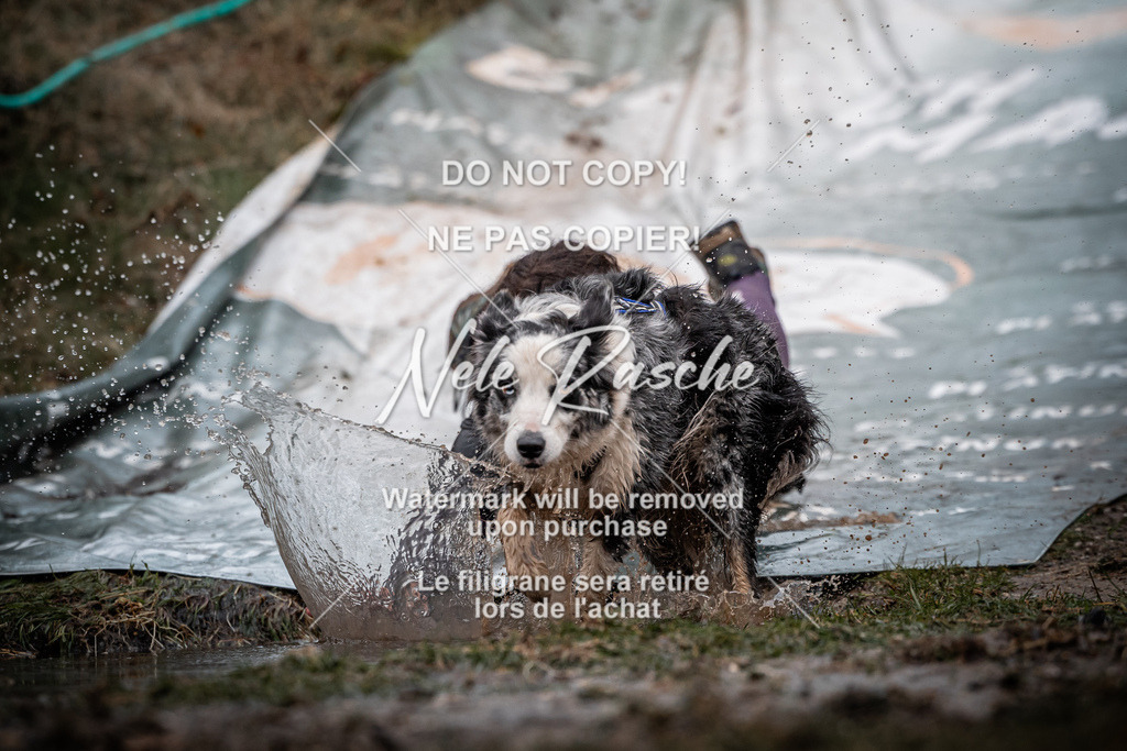 nelerasche_1230-1300_73 | nelerasche