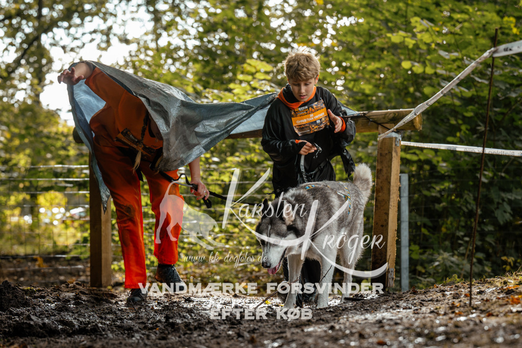 1456DZ6_4009Z6 | kk-dogfotos