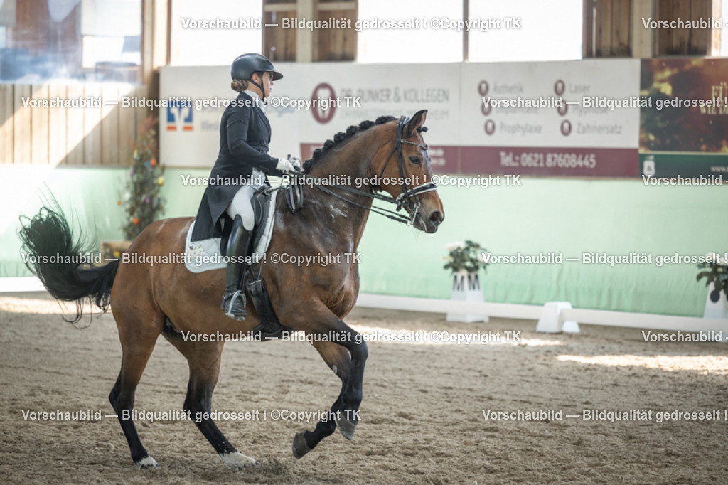 _D5A9947 | Emotionale Pferde- & People-Fotografie rund um Heidelberg, Leimen & Umgebung. Natürliche Fotos von Pferd, Mensch & Familie. Jetzt Termin sichern!