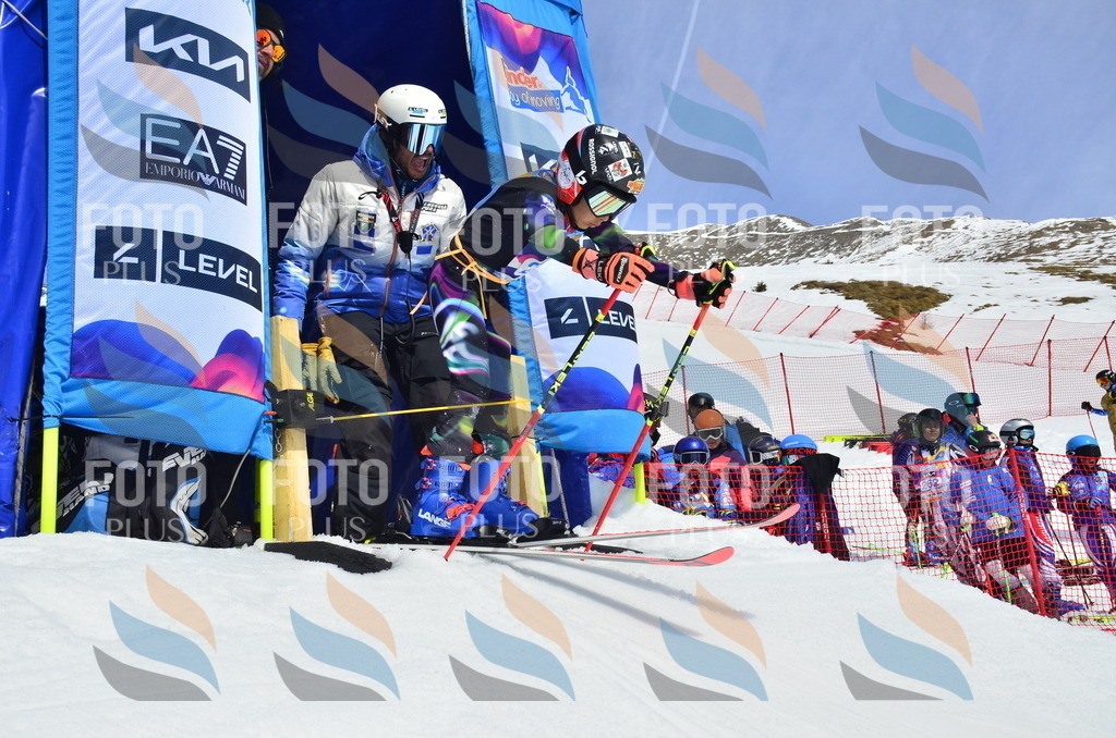 _ELE1535 | holidayphoto