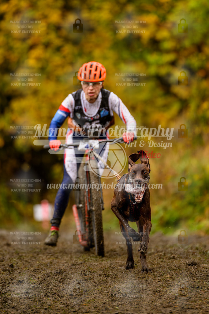 MompixPhotography_ICF_WC_2024_SA_DS_-101 | PayLife