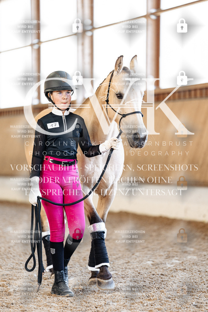 CK905383 | Turnierfotografie Pferdefotografie Trier Rheinland-Pfalz Pferdesport Reitsport Tierfotografie Sportfotografie Pferdevideo Pferdevideografie Equestrianvideography equestrianphotography  - Realisiert mit Pictrs.com