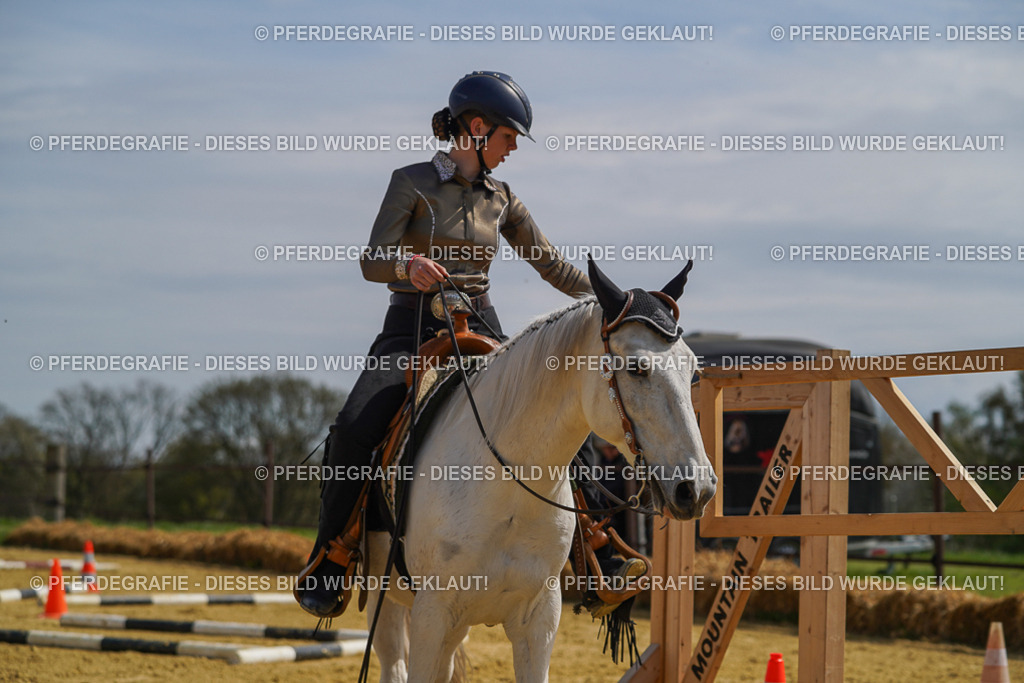 DSC04691 | Pferdegrafie