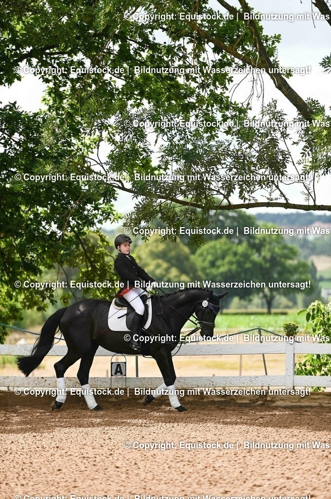 20230716_10-1_Reiter-WB Schritt - Trab - Galopp_0151 | equistock