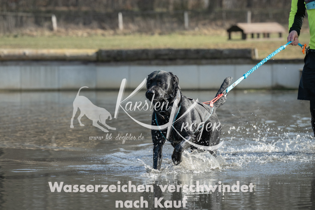1300_ZZ93611 | kk-dogfotos