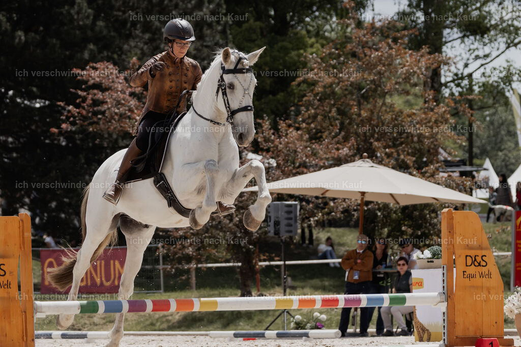 WE_ST_Stoib_347_PI2025_1068 | Pferd International München 2025