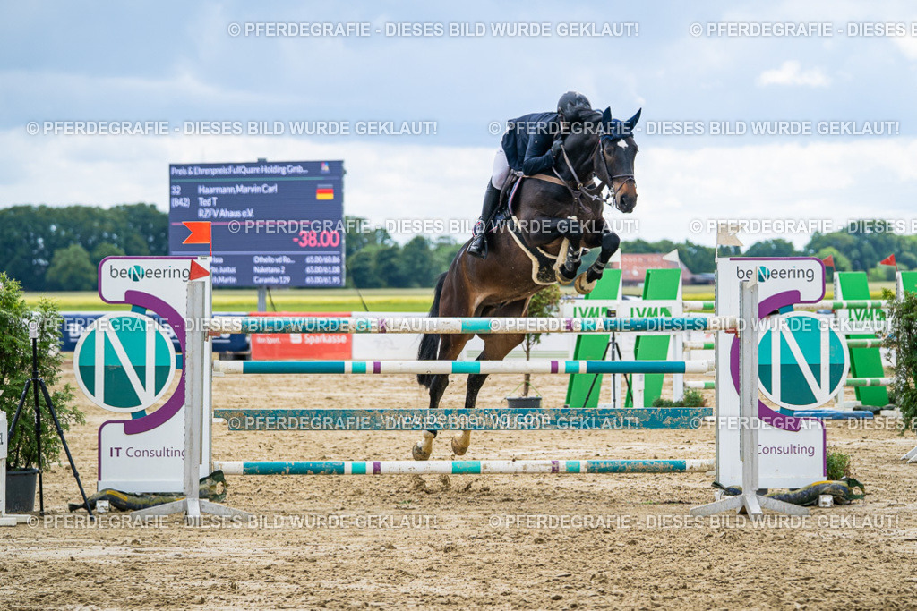 DSC06198 | Pferdegrafie