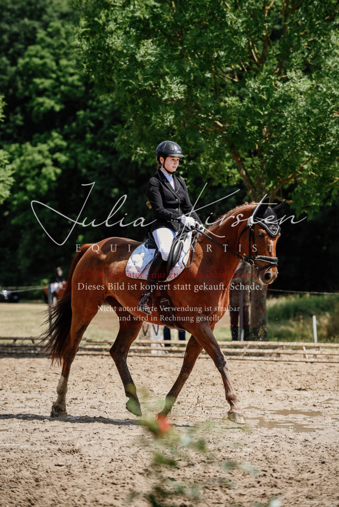 DSC_1367 | Pferde- und Turnierfotografie in Westsachsen. Pferdeportraits, Auftragszeichnungen und intuitive Kunst.