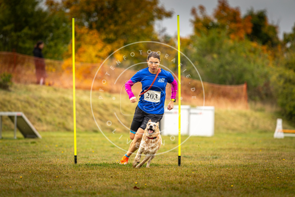 Pfotenfotografie_DV3A2021 | Hundefotografie, Tierfotograf, Pfotenfotografie, Fotoshooting Hund, Hunde Portrait, Hundesport, Hundeportraits, Heideshooting, Hunde, Sportfotograf, Hundefotograf, Turnierhundsport, THS,  - Realisiert mit Pictrs.com