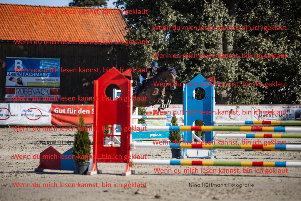 BK1A7448 | Turnierbilder Turnierfotos Nina Hüffmann Turnierfotografie Pferdefotografie Tierzeichnung Haustierzeichnung Pferdezeichnung Hundezeichnung Videograf  - Realisiert mit Pictrs.com