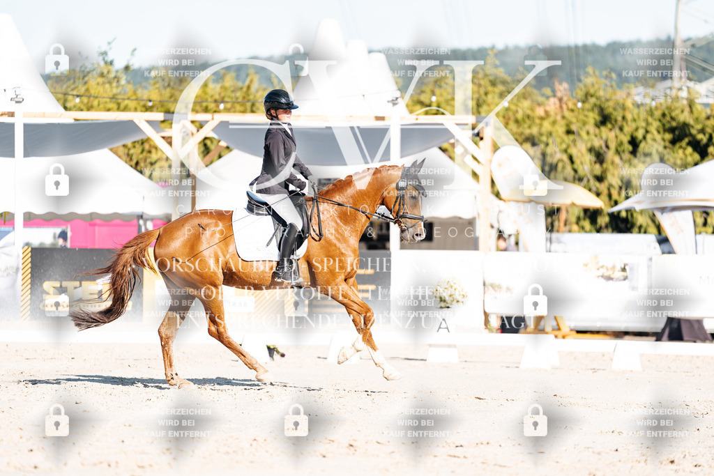 CK907246 | Turnierfotografie Pferdefotografie Trier Rheinland-Pfalz Pferdesport Reitsport Tierfotografie Sportfotografie Pferdevideo Pferdevideografie Equestrianvideography equestrianphotography  - Realisiert mit Pictrs.com
