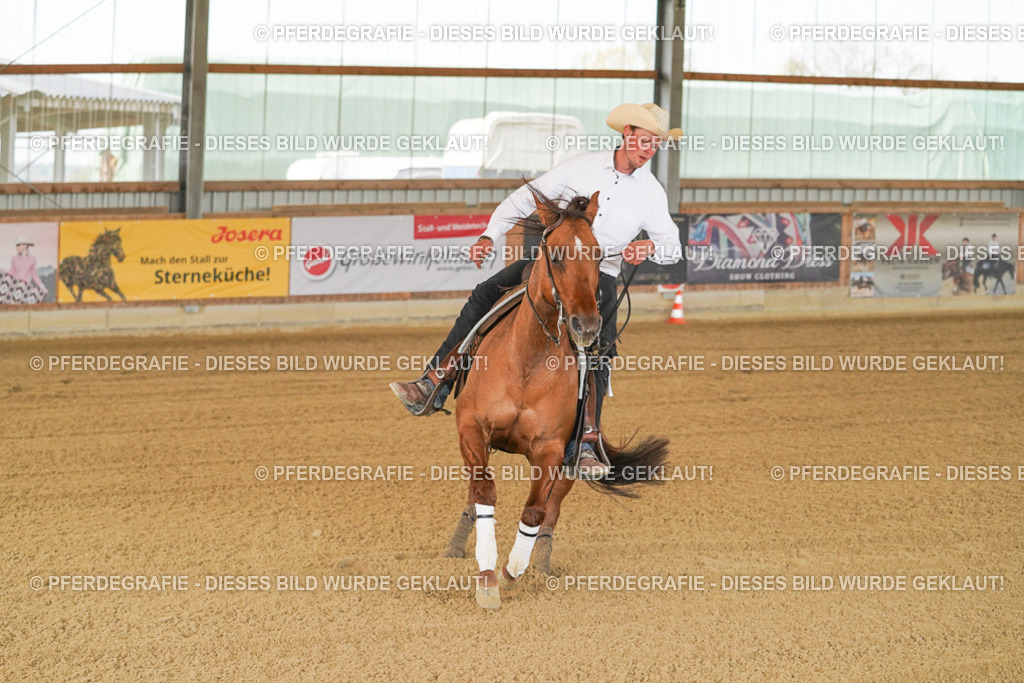 DSC06910 | Pferdegrafie