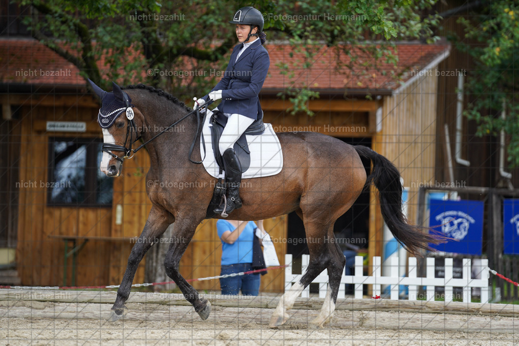 20230826-FAH05191 | Forstinning, 2023, Dressurturnier, Turniersportbilder, Turnierfotografen Bayern, Fotoagentur Herrmann, Reitsportfotografie, Turnierbilder