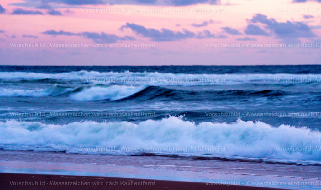 DSC02084 | marcuslinek