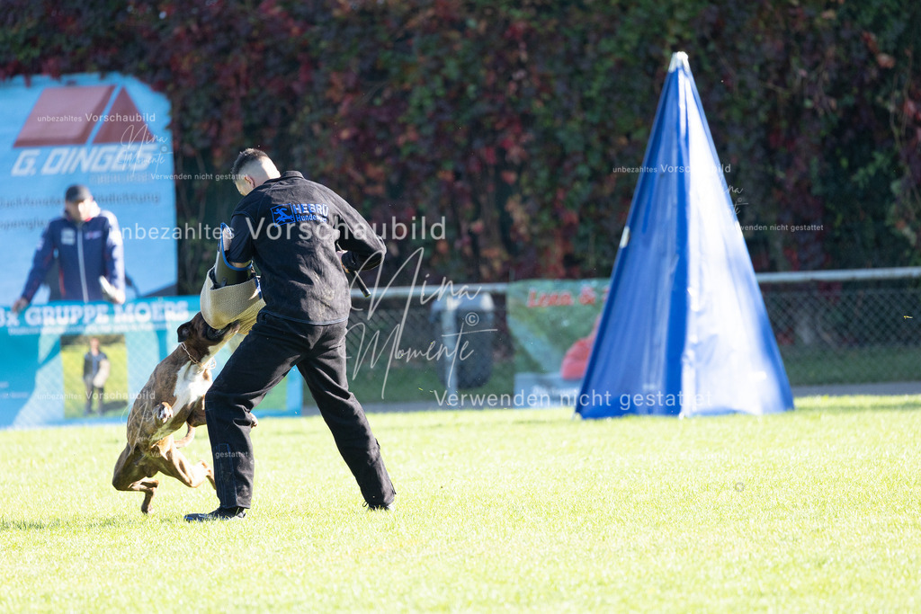 _16A5029 | Einzigartige Fotos von Hunden & Menschen –Actionfotos, Portraits, Vereinsaufnahmen & Paarshootings – authentisch, lebendig & mit Herz.