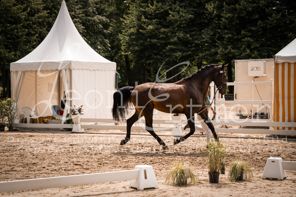 3.Fr00059 | Leoni Ertmer Photography - Realisiert mit Pictrs.com