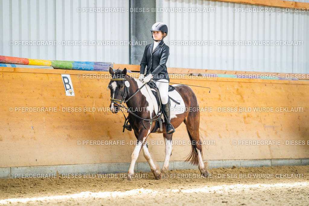 DSC03239 | Pferdegrafie