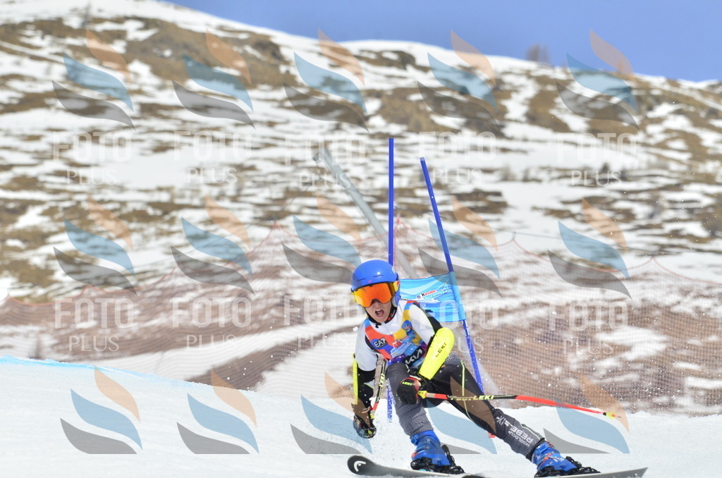 _ELE2816 | holidayphoto