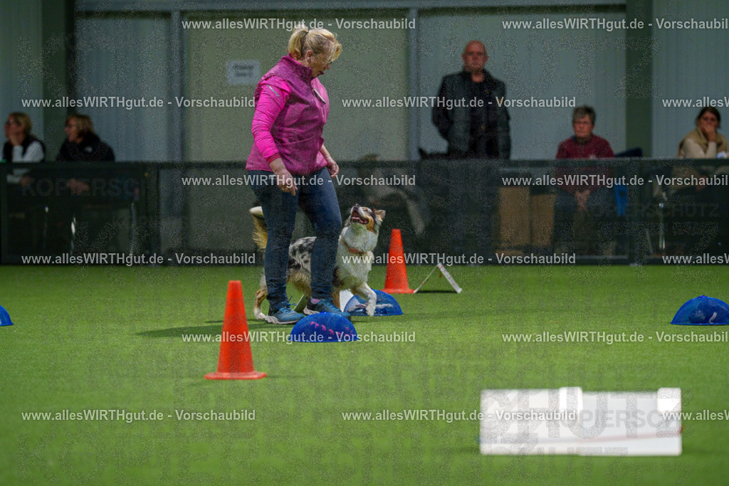 7R504125 | Professionelle Tierfotografie in Mönchengladbach von Daniel Wirth (allesWIRTHgut). Liebevolle & natürliche Bilder von Hunden & Katzen für unvergessliche Erinnerungen.