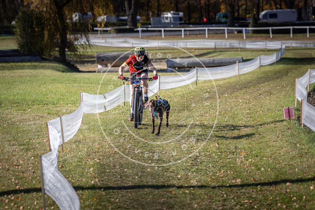CaniXpix_DV3A6381 | Hundefotografie, Tierfotograf, Pfotenfotografie, Fotoshooting Hund, Hunde Portrait, Hundesport, Hundeportraits, Heideshooting, Hunde, Sportfotograf, Hundefotograf, Turnierhundsport, THS,  - Realisiert mit Pictrs.com