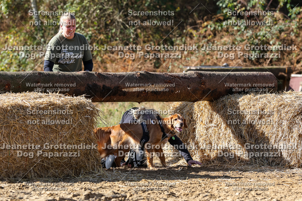 Dog Paparazzi - Strongdog 10-25-4777 | Dog Paparazzi Jeanette Grottendiek Fotografie & Videografie - Realisiert mit Pictrs.com