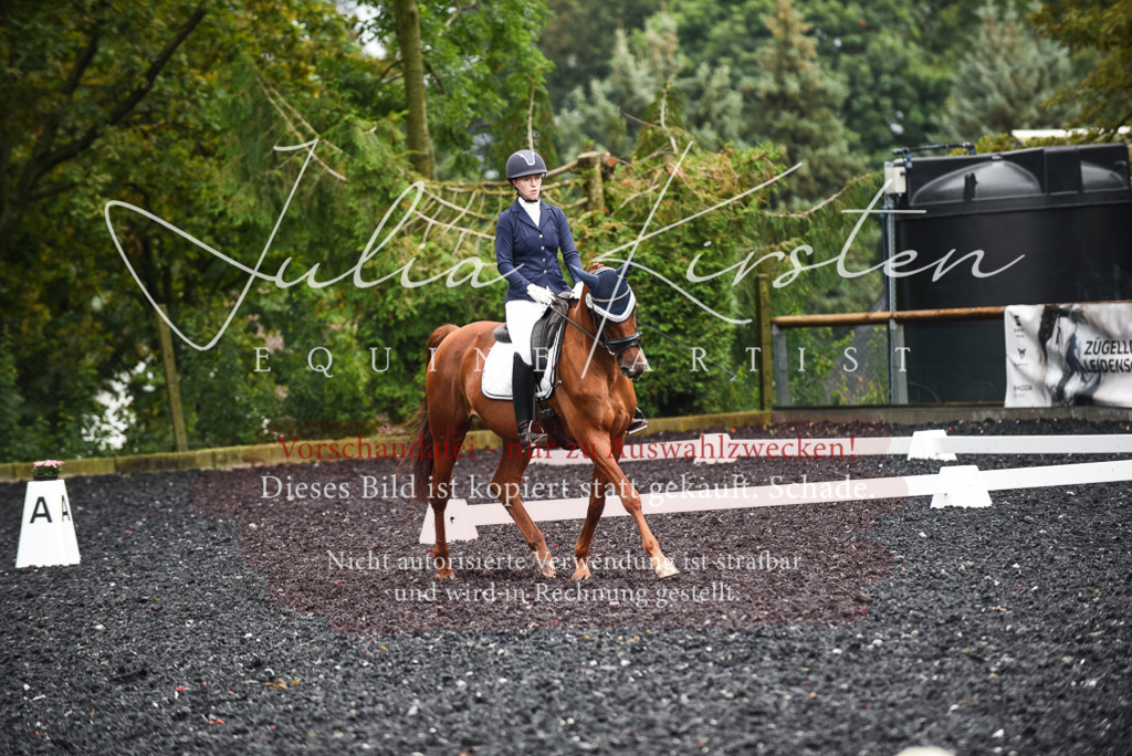 DSC_2929 | Pferde- und Turnierfotografie in Westsachsen. Pferdeportraits, Auftragszeichnungen und intuitive Kunst.