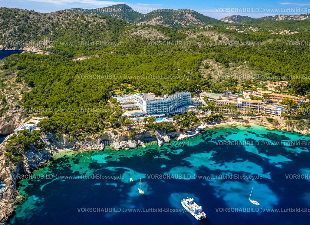 Mallorca230400164CalaFornells | Luftbild, Hotels und Ferienhäuser am Strand, Camp de Mar, blaues Meer, bewaldetes Gebirge, Andratx, Balearen, Mallorca, Balearische Inseln, Spanien