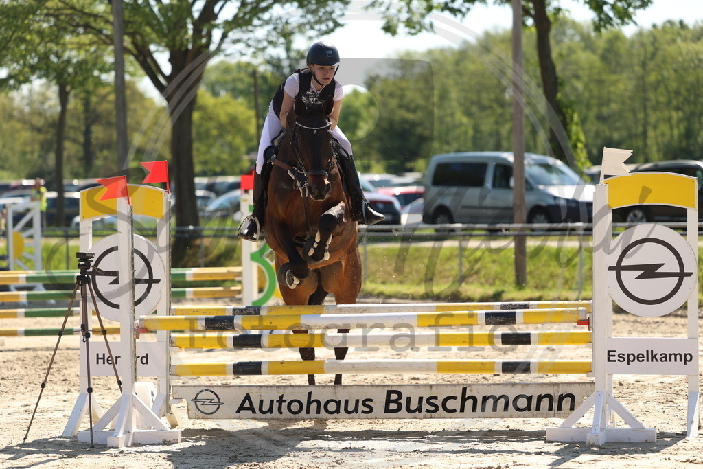 994A5642 | sabrinanicolaifotografie - Realisiert mit Pictrs.com