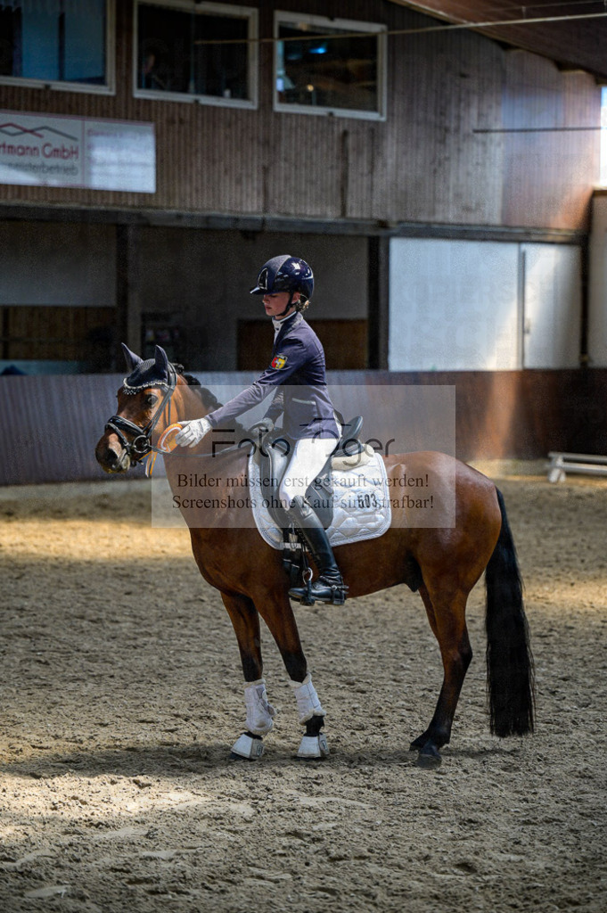 Reitturnier Voxtrup | Entdecke hochwertige Reitturnierfotos von Foto Oger. Professionell, emotional und authentisch – jetzt Lieblingsmomente im Shop bestellen.Deutschlandweite Turnierfotografie. - Realized with Pictrs.com