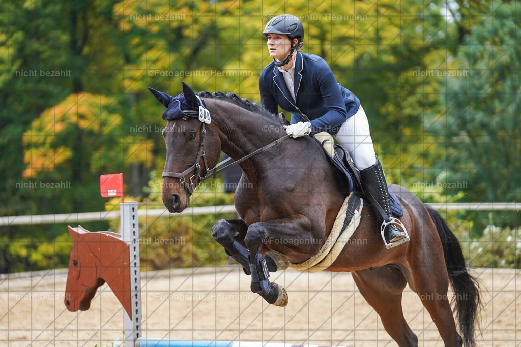 20221009-FAH08799 | Diessen am Ammersee, 2022, Dressur- und Springturnier, Reitsportbilder, Turnierfotografen Bayern, Pferdefotografen, Fotoagentur Herrmann, Turnierbilder