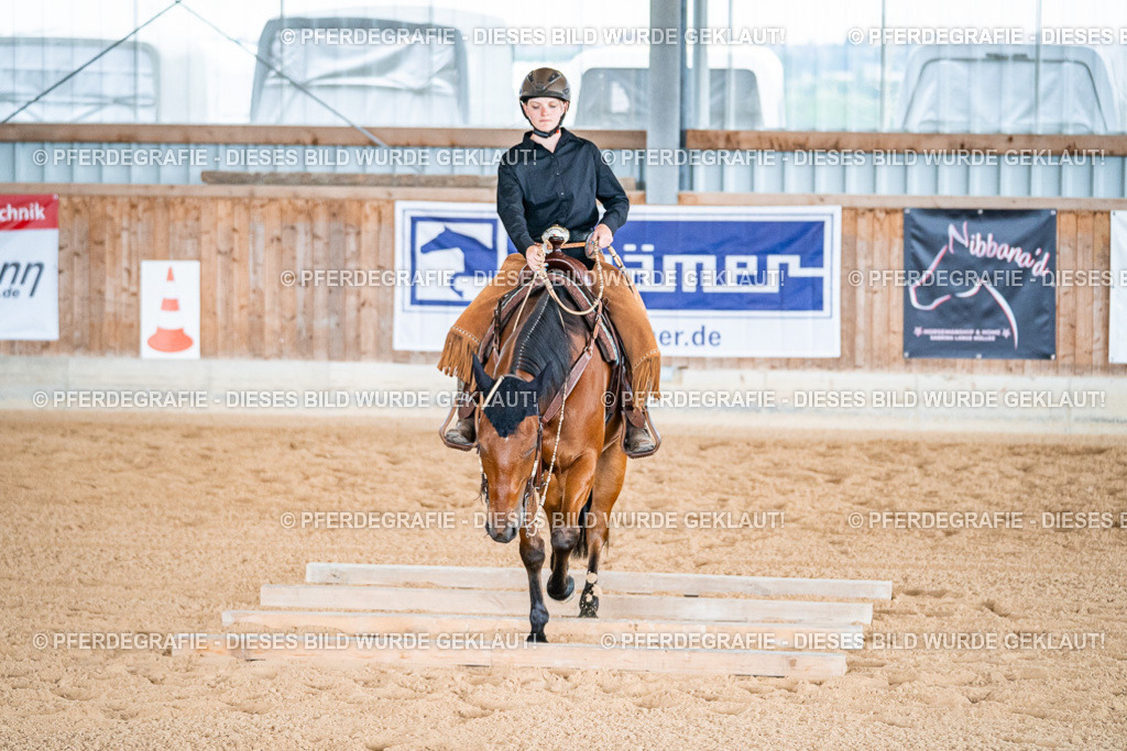 DSC09478 | Pferdegrafie