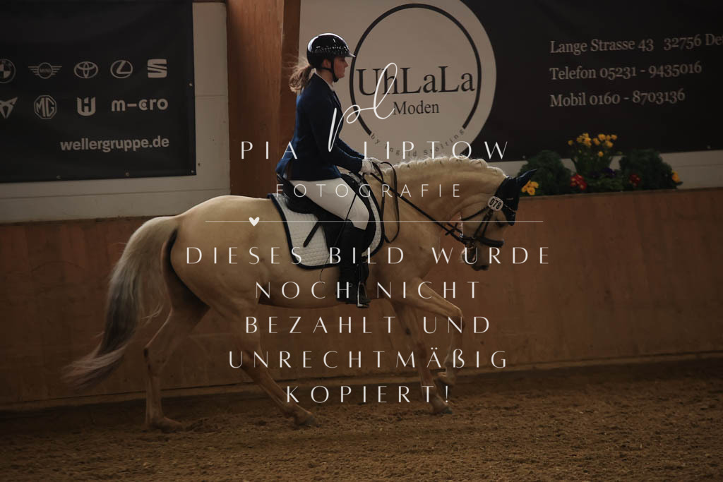 IMGT0080 | pl-fotografie