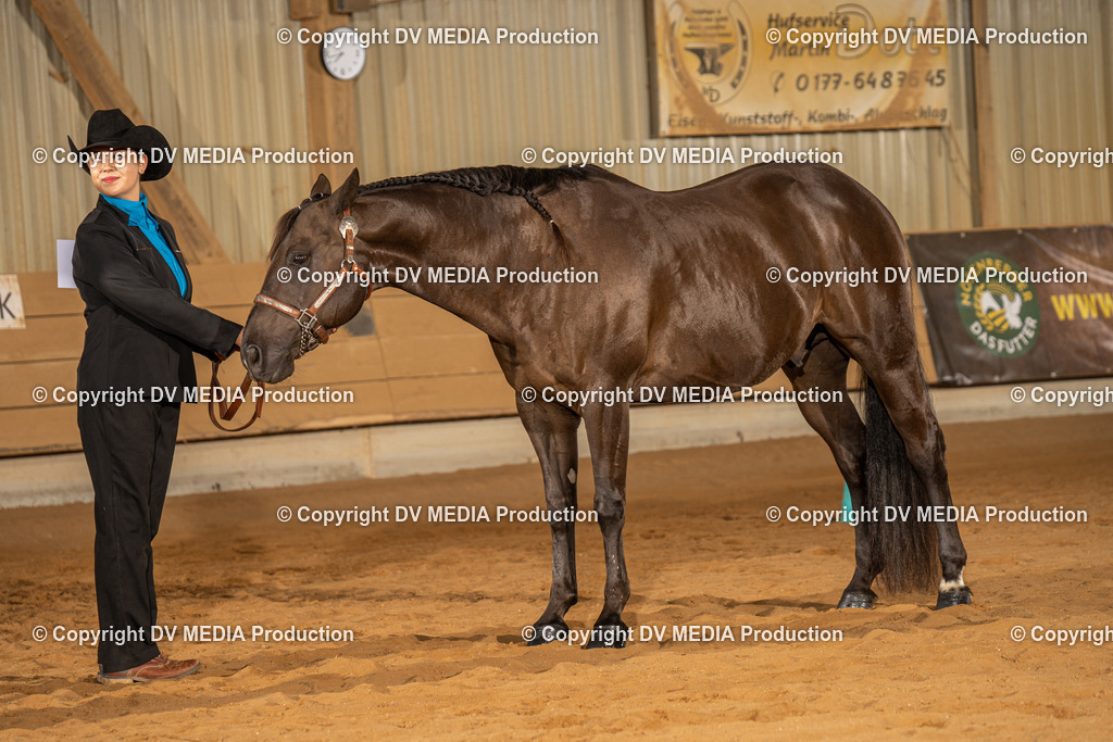 NID02469 | dv-media-shop - Realisiert mit Pictrs.com