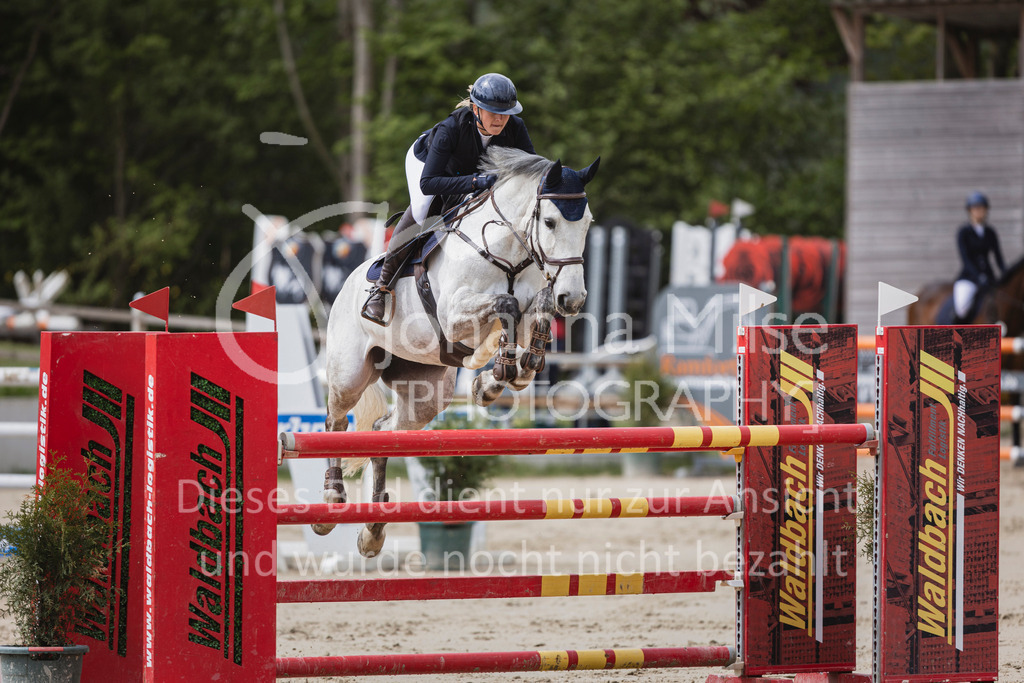 250504_SpengeW_M2-Spr-406 | Deine schönsten Turniermomente als professionelle Fotos! Entdecke hochwertige Pferdesport-Fotografie im Online-Shop. Jetzt Fotos finden & bestellen!