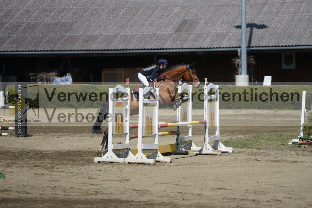 DSC02878 | equestrian-live-com