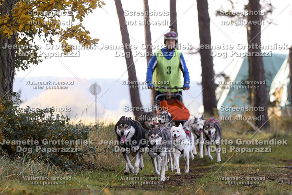 Dog Paparazzi - Elsholz 25 -41 | Dog Paparazzi Jeanette Grottendiek Fotografie & Videografie - Realisiert mit Pictrs.com