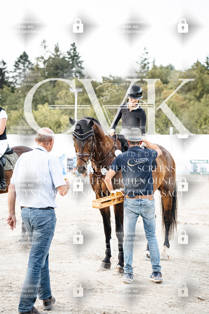 CK704247 | Turnierfotografie Pferdefotografie Trier Rheinland-Pfalz Pferdesport Reitsport Tierfotografie Sportfotografie Pferdevideo Pferdevideografie Equestrianvideography equestrianphotography  - Realisiert mit Pictrs.com