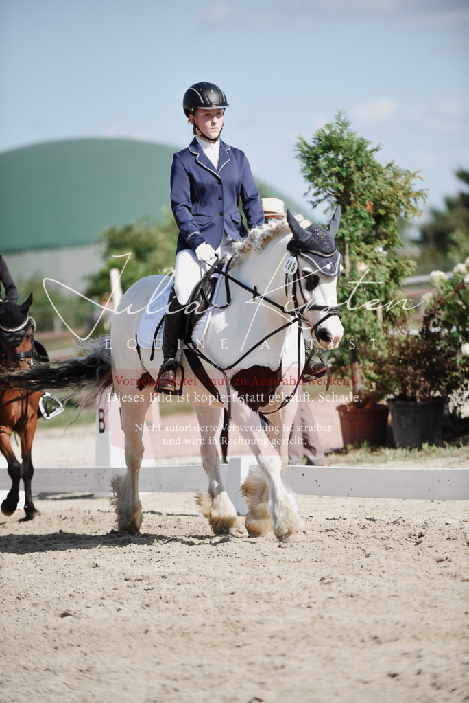 DSC_0060 | Pferde- und Turnierfotografie in Westsachsen. Pferdeportraits, Auftragszeichnungen und intuitive Kunst.
