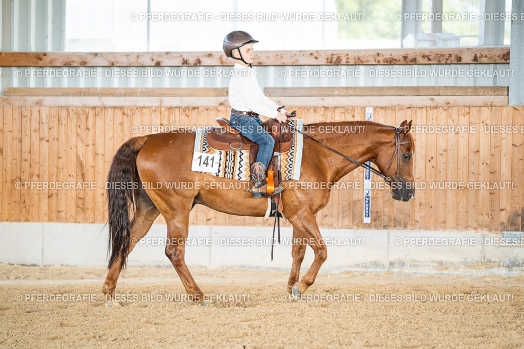 DSC08485 | Pferdegrafie