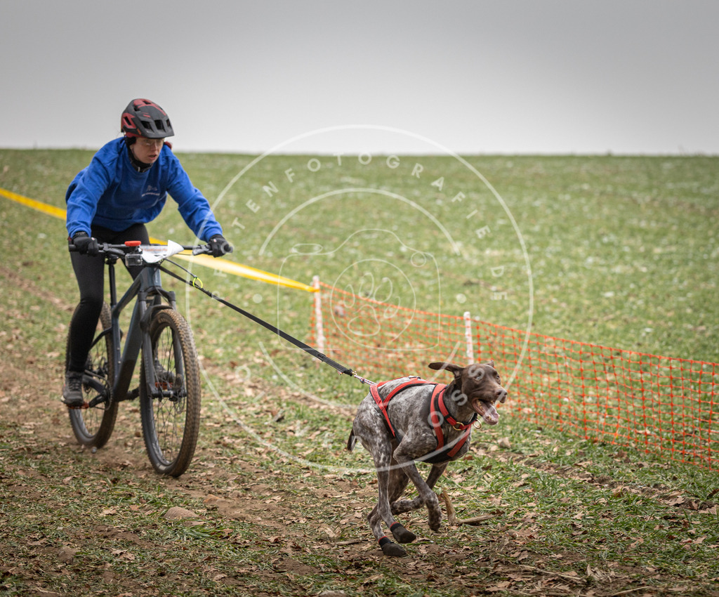 Pfotenfotografie_DV3A2892 | Hundefotografie, Tierfotograf, Pfotenfotografie, Fotoshooting Hund, Hunde Portrait, Hundesport, Hundeportraits, Heideshooting, Hunde, Sportfotograf, Hundefotograf, Turnierhundsport, THS,  - Realisiert mit Pictrs.com