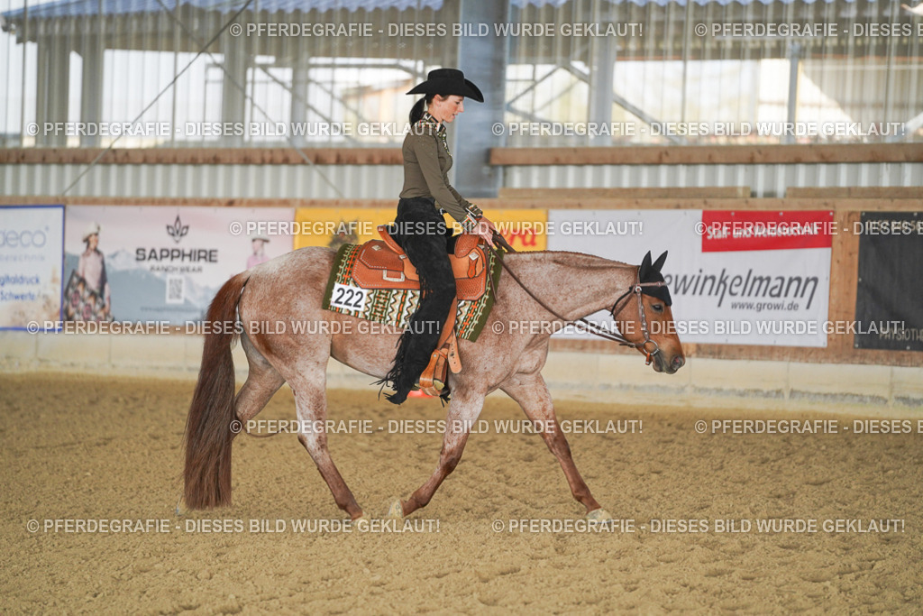 DSC09149 | Pferdegrafie