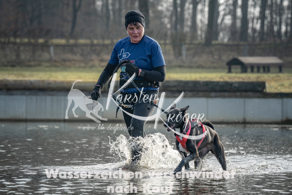 0955_ZZ94767 | kk-dogfotos